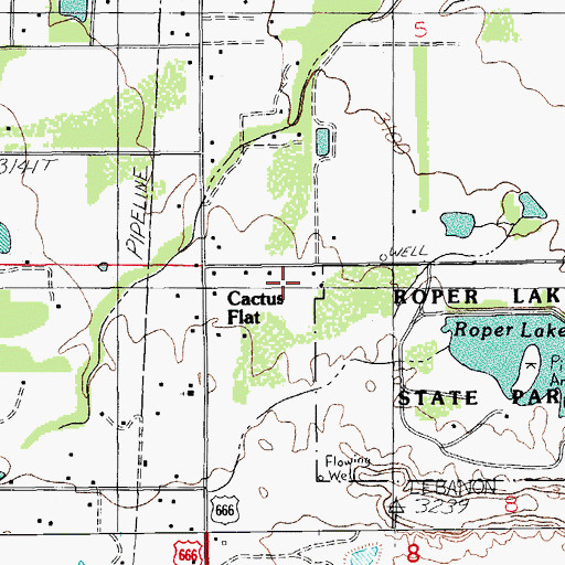 Topographic Map of Cactus Dam, AZ