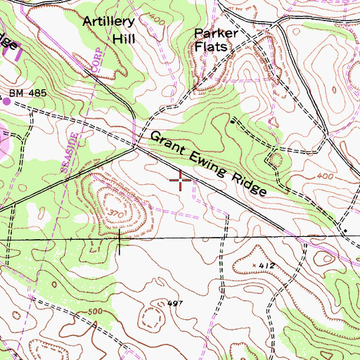 Topographic Map of Grant Ewing Ridge, CA