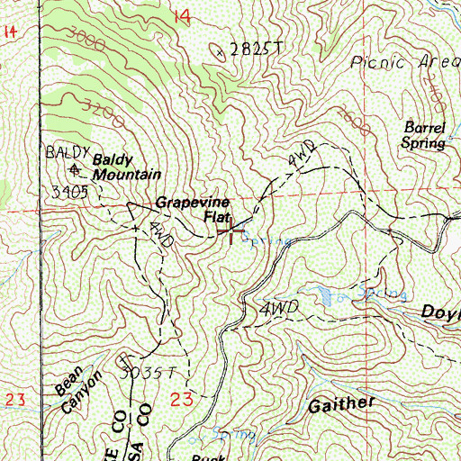 Topographic Map of Grapevine Flat, CA