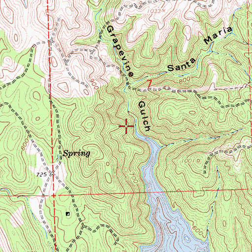 Topographic Map of Grapevine Gulch, CA