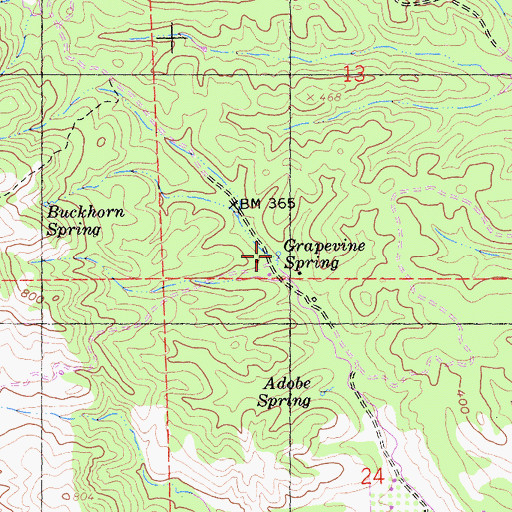 Topographic Map of Grapevine Spring, CA