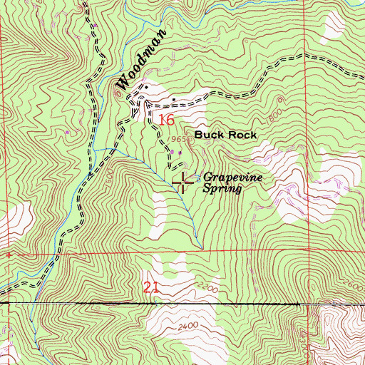 Topographic Map of Grapevine Spring, CA
