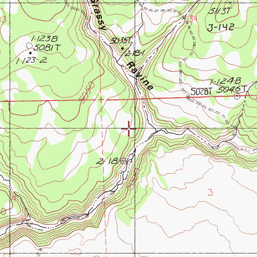 Topographic Map of Grassy Ravine, CA