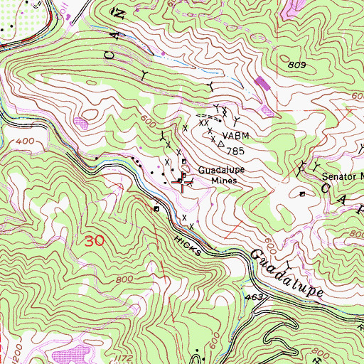 Topographic Map of Guadalupe Mines, CA