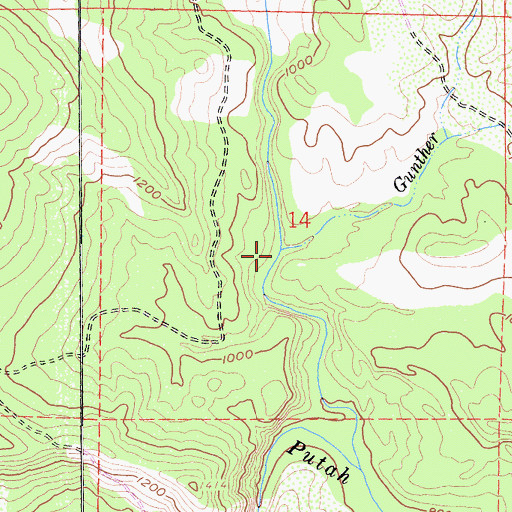 Topographic Map of Gunther Creek, CA