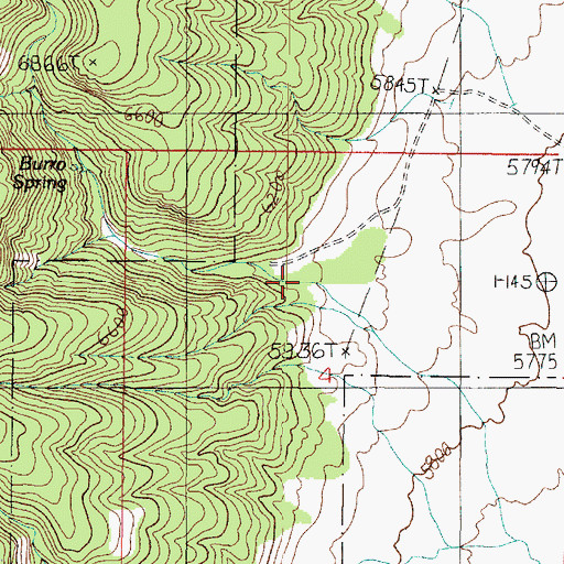 Topographic Map of Burro Canyon, AZ