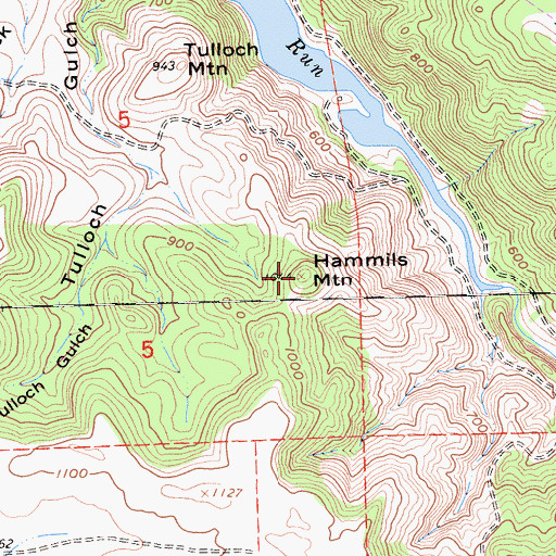 Topographic Map of Hammils Mountain, CA
