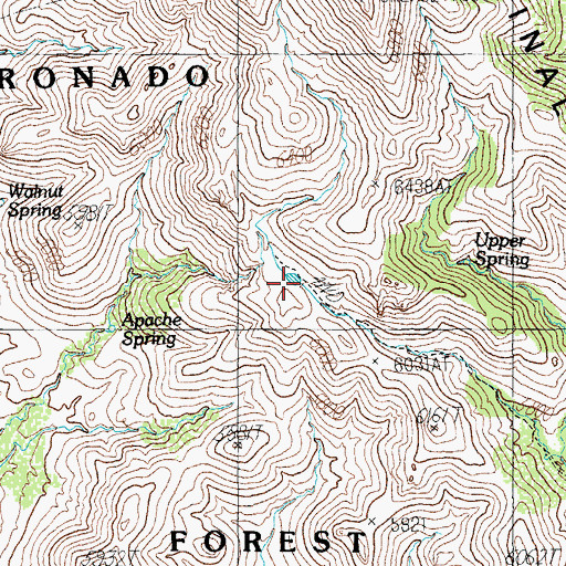 Topographic Map of Greasewood Tank, AZ