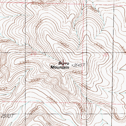 Topographic Map of Burro Mountain, AZ