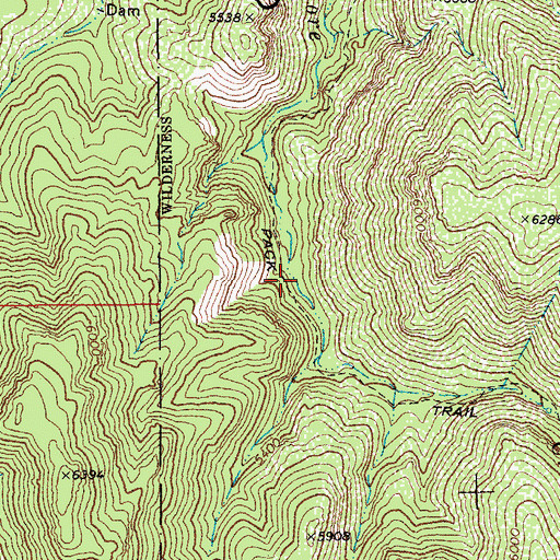 Topographic Map of Junniper Springs Two hundred ninety five Trail, AZ