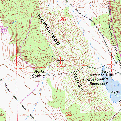 Topographic Map of Homestead Ridge, CA