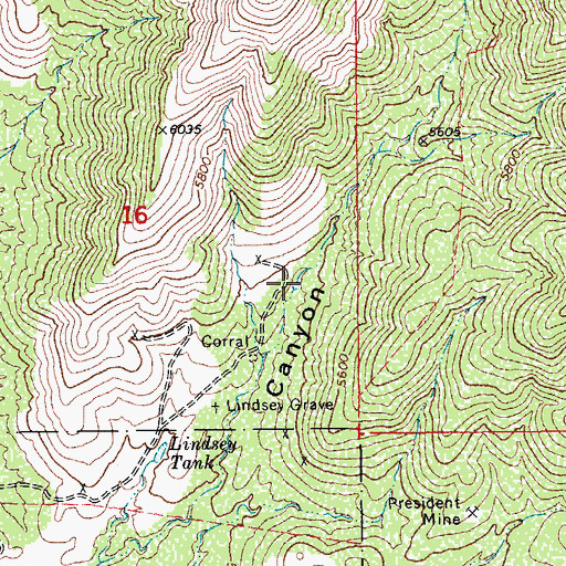 Topographic Map of Lindsey Tank, AZ