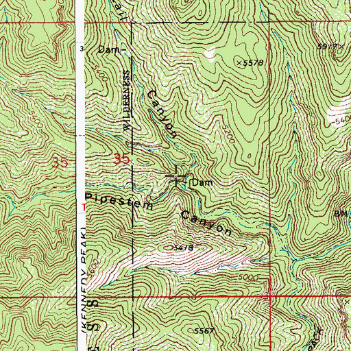 Topographic Map of Lower Ringtail Tank, AZ