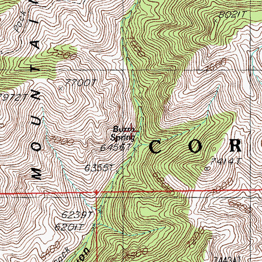 Topographic Map of Burro Spring, AZ