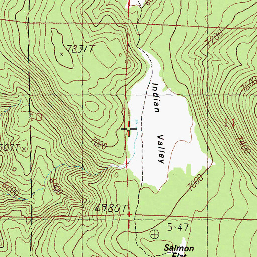 Topographic Map of Indian Valley, CA