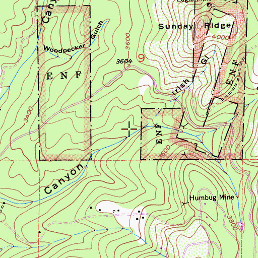 Topographic Map of Irish Gulch, CA