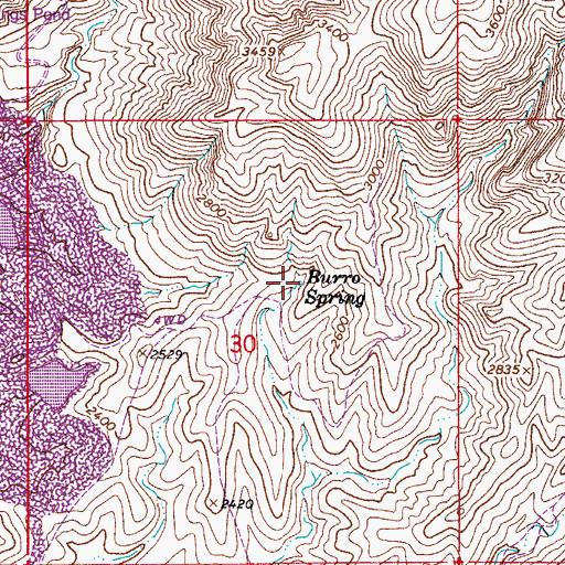 Topographic Map of Burro Spring, AZ