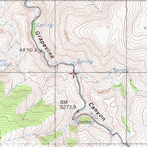 Topographic Map of Jackass Canyon, CA