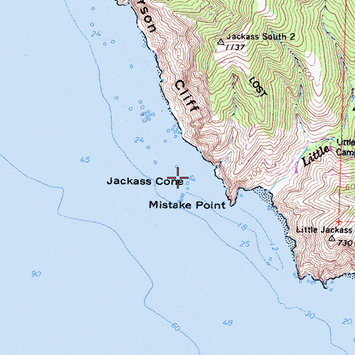 Topographic Map of Jackass Cone, CA