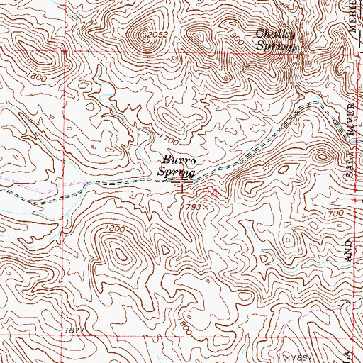 Topographic Map of Burro Spring, AZ