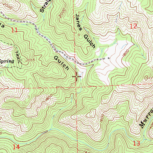 Topographic Map of Janes Gulch, CA