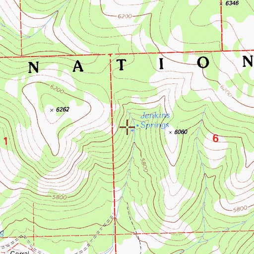 Topographic Map of Jenkins Springs, CA