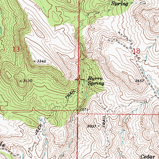 Topographic Map of Burro Spring, AZ