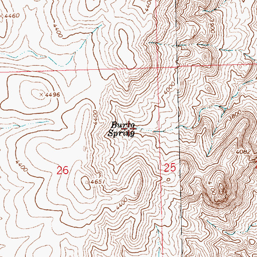 Topographic Map of Burro Spring, AZ