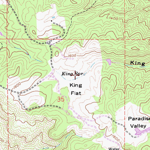 Topographic Map of King Spring, CA