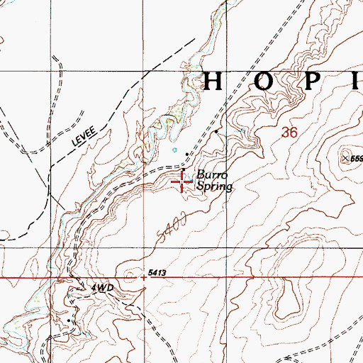 Topographic Map of Burro Spring, AZ