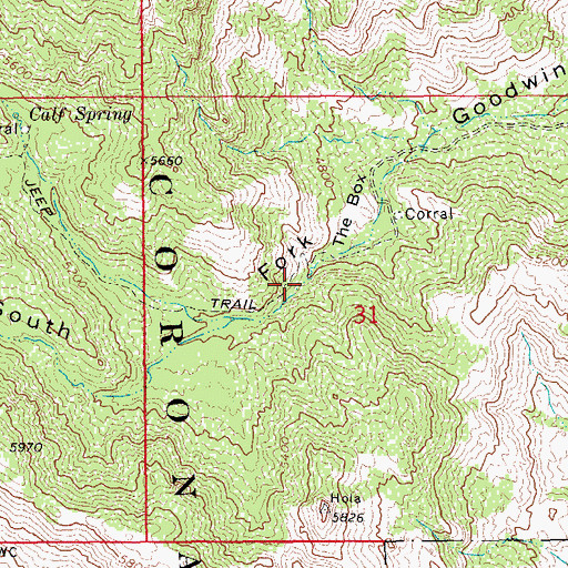 Topographic Map of South Goodwin Spring, AZ