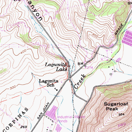 Topographic Map of Lagunita Lake, CA
