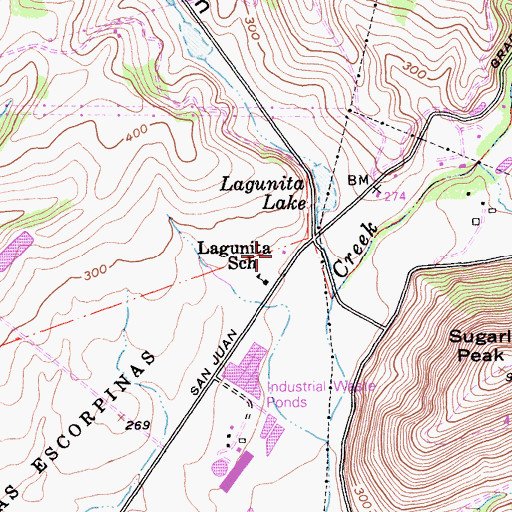 Topographic Map of Lagunita School, CA