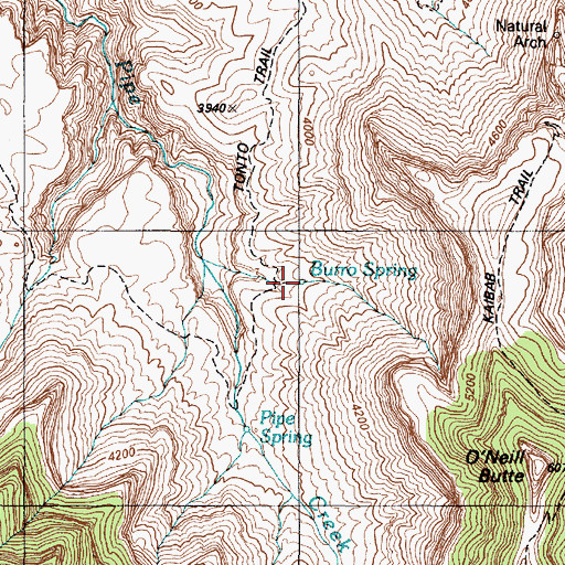 Topographic Map of Burro Spring, AZ