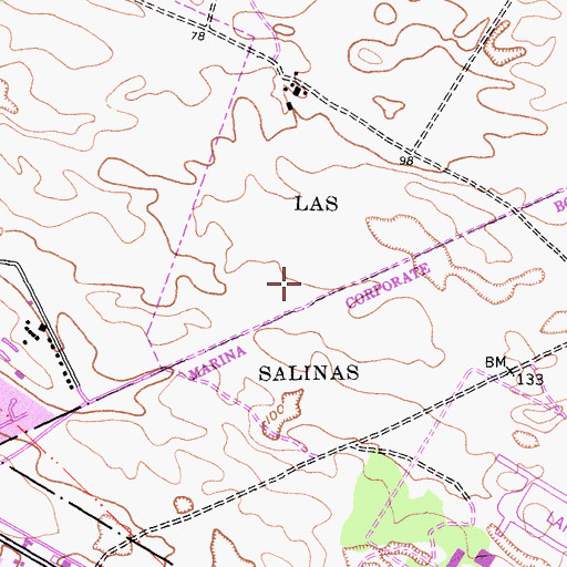 Topographic Map of Las Salinas, CA