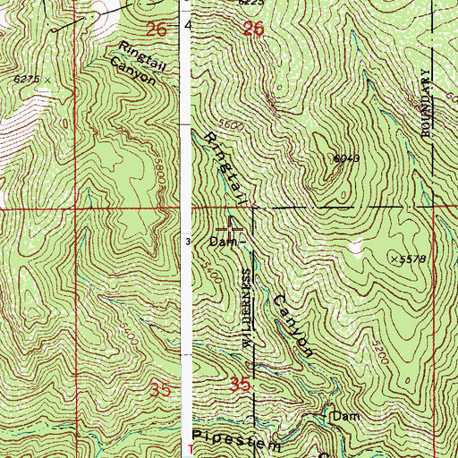 Topographic Map of Upper Ringtail Tank, AZ