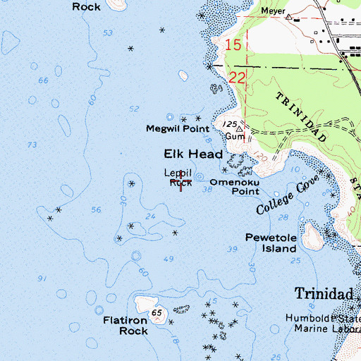 Topographic Map of Lepoil Rock, CA