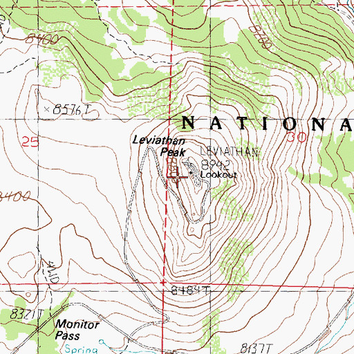 Topographic Map of Leviathan Peak, CA
