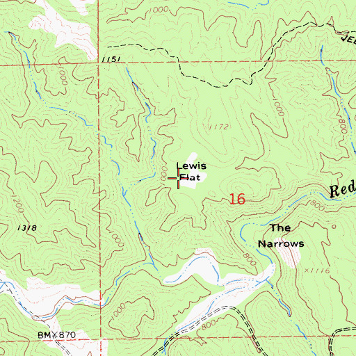 Topographic Map of Lewis Flat, CA