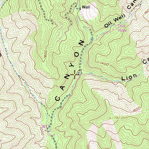 Topographic Map of Lion Canyon, CA