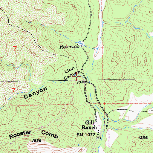 Topographic Map of Lion Canyon, CA