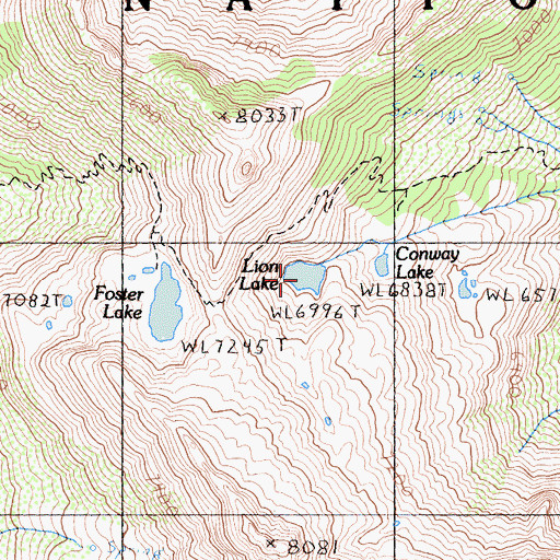 Topographic Map of Lion Lake, CA