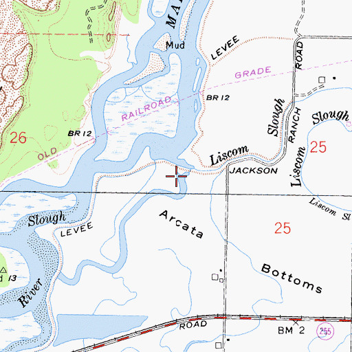 Topographic Map of Liscom Slough, CA