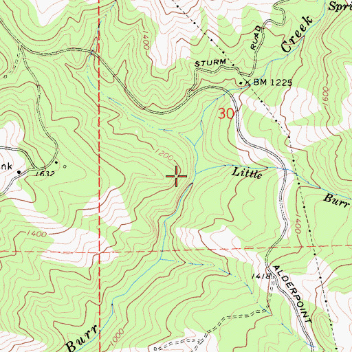 Topographic Map of Little Burr Creek, CA