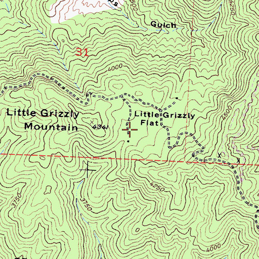 Topographic Map of Little Grizzly Flat, CA