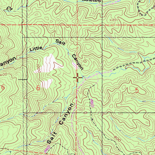 Topographic Map of Little Salt Canyon, CA