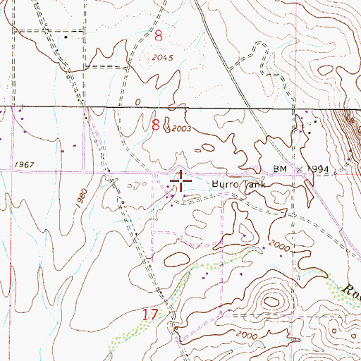 Topographic Map of Burro Tank, AZ