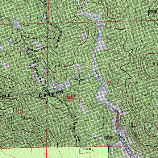Topographic Map of Lonesome Canyon, CA