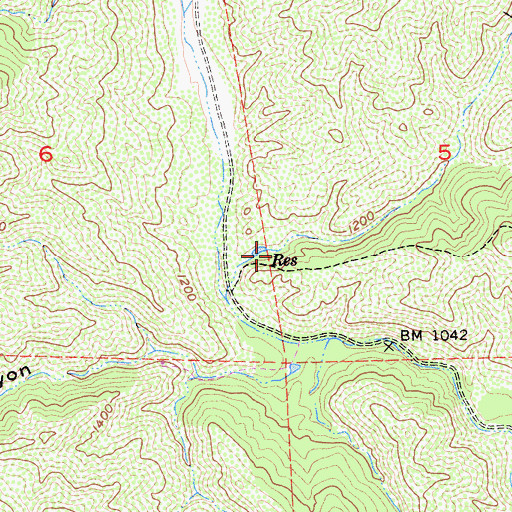 Topographic Map of Long Canyon, CA