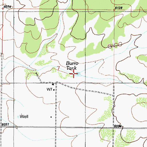 Topographic Map of Burro Tank, AZ